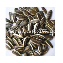 Wholesale Sunflower Seeds Cheap Price Sunflower Seeds 361, 363, 5009, 601